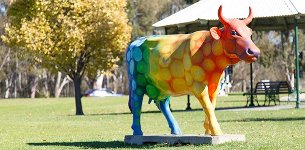 Shepparton Rainbow Cow