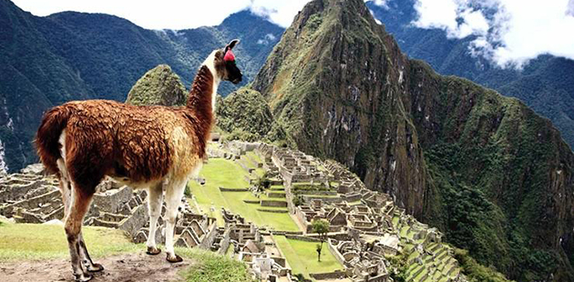 Alpha Travel South America APN