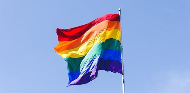 APN Rainbow Flag Jaime Perez CC BY-NC