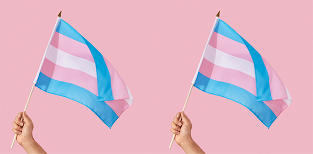 ACON Transgender Day of Visibility