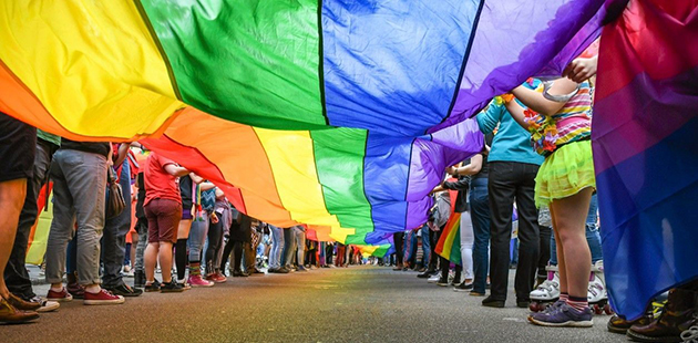 Rainbow Flag Crowd APN