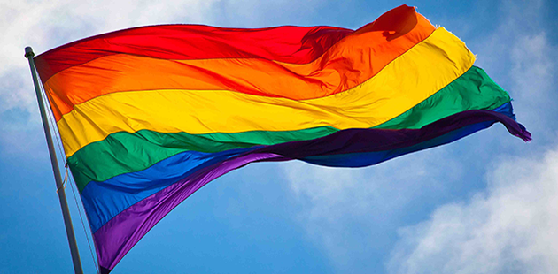 APN Rainbow Flag