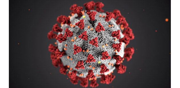 Coronavirus - courtesy of the Royal Melbourne Hospital