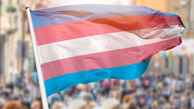 APN-Transgender-Flag