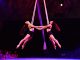 AF24-Aerial-Artists-Adelaide-Aerialicious at-Fool's-Paradise-2023-photo-by-Missy-Smiley