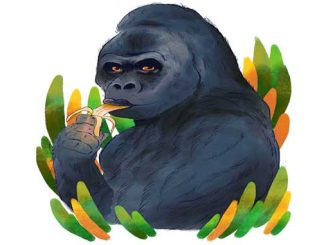 That's One Damn Sexy Ape