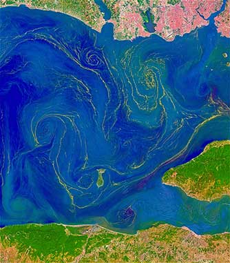 MF2024 Vantage Points NASA image by Josh Stevens (Earth Observatory) and Norman Kuring (NASA Ocean Color group)