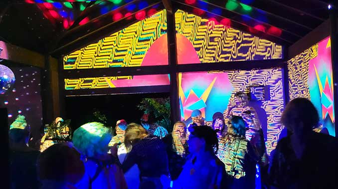 Origami photo by Lisa Haymes Photography