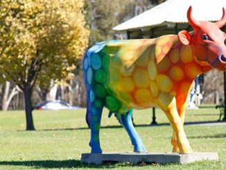Shepparton Rainbow Cow