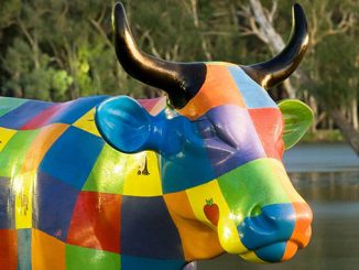 Greater-Shepparton-Moooving-Art-Initiative-Rainbow-Cow-courtesy-of-Visit-Victoria