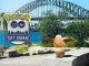 Pokémon-GO-City-Safari